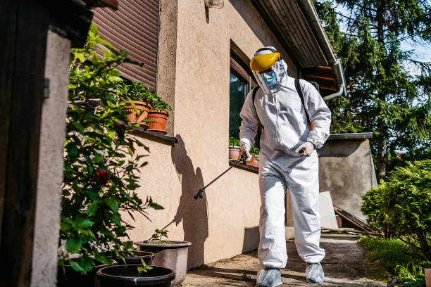 Best Pest Control Treatment  in Packanack Lake, NJ