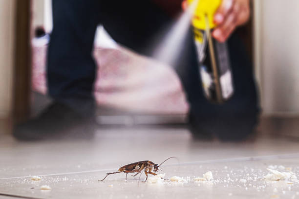 Best Best Pest Control Companies  in Packanack Lake, NJ